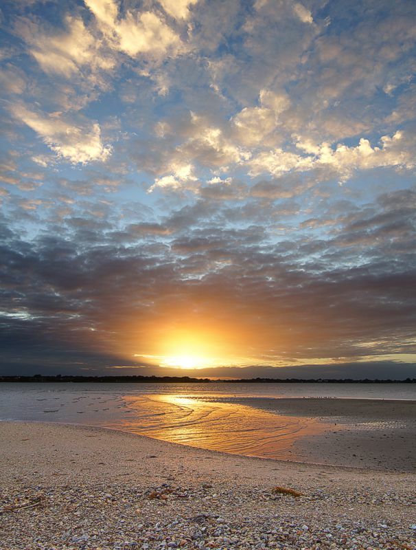 Click to See Next Image